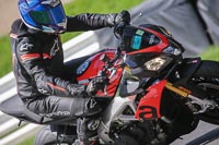 Lower Group Red Bikes